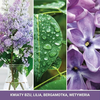Lilac Blossoms (orgovánové kvety) - Votívna sviečka v skle
